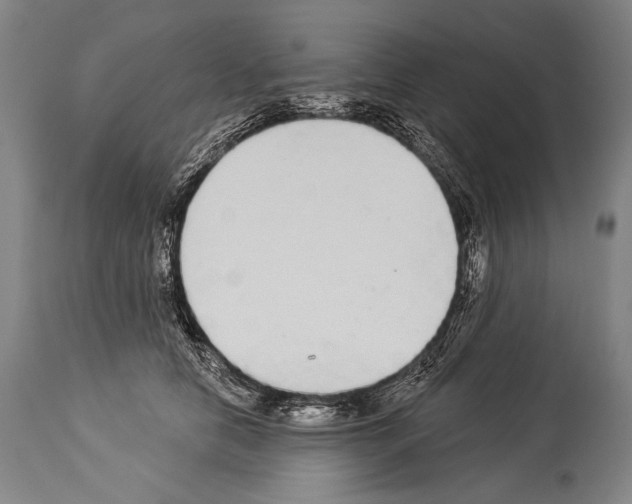 X0000113980658200911131056