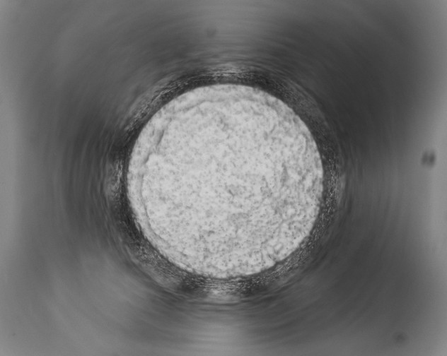 X0000113980660200911131056