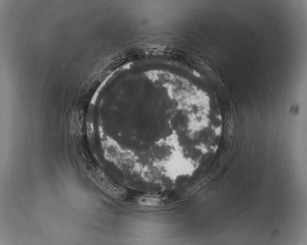 X0000113980661200911131056