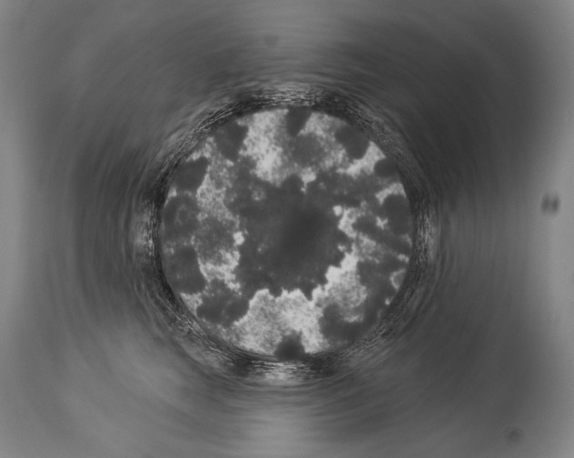 X0000113980663200911131056