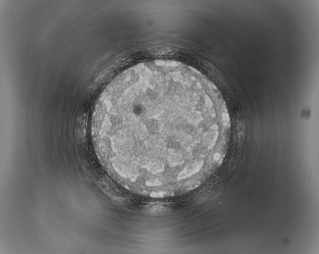 X0000113980664200911131057
