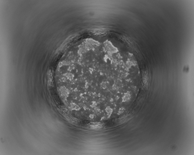 X0000113980667200911131057