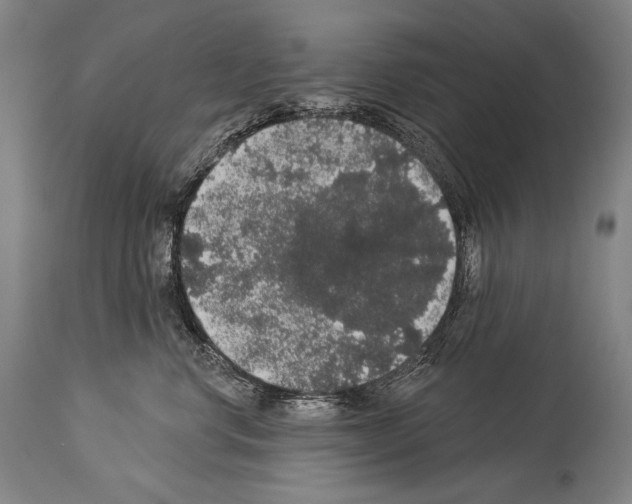 X0000113980668200911131057