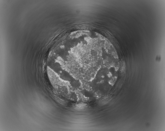 X0000113980669200911131057