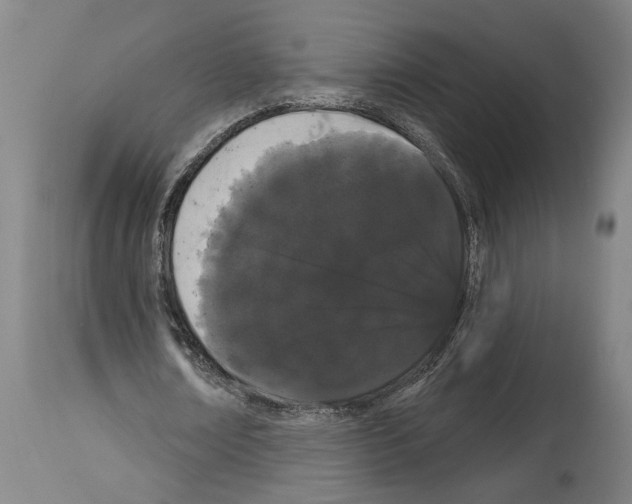 X0000113980674200911131056