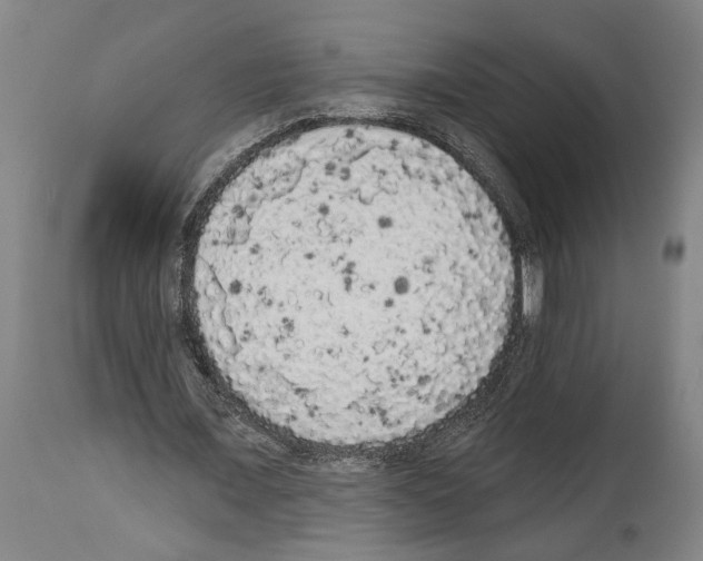 X0000113980675200911131056