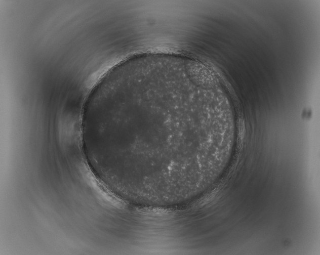 X0000113980677200911131056