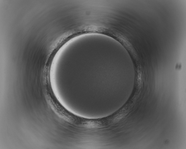 X0000113980678200911131056