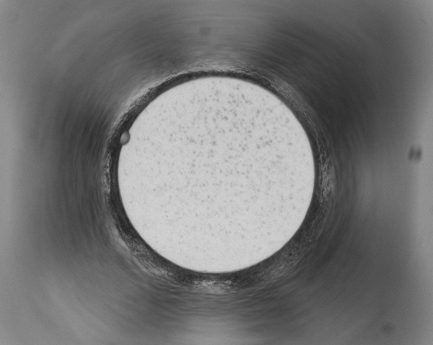 X0000113980680200911131056