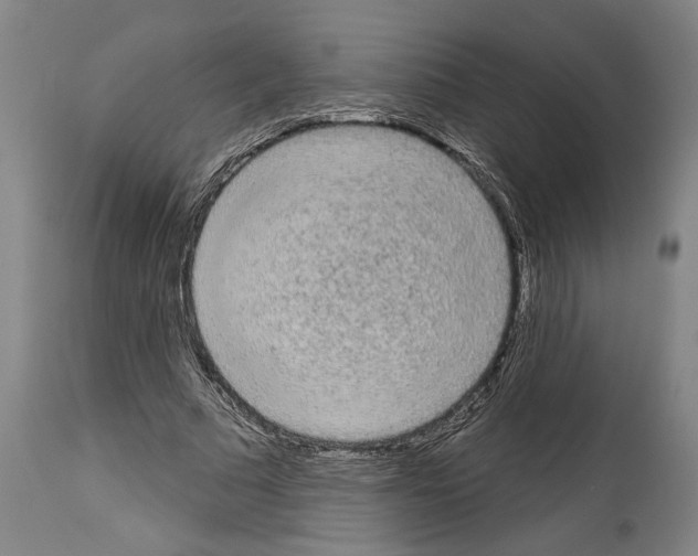 X0000113980681200911131056