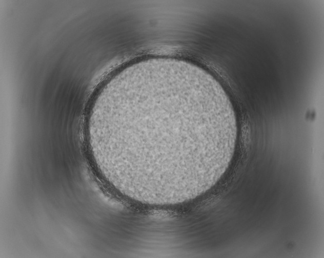 X0000113980682200911131056