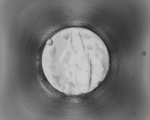 X0000113980683200911131056
