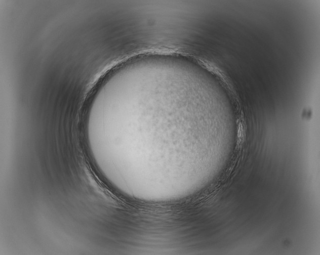 X0000113980684200911131056