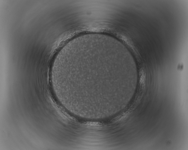 X0000113980685200911131056