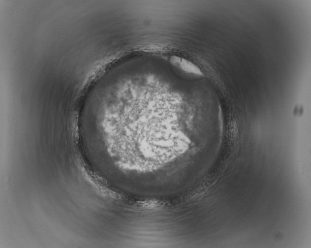 X0000113980688200911131056