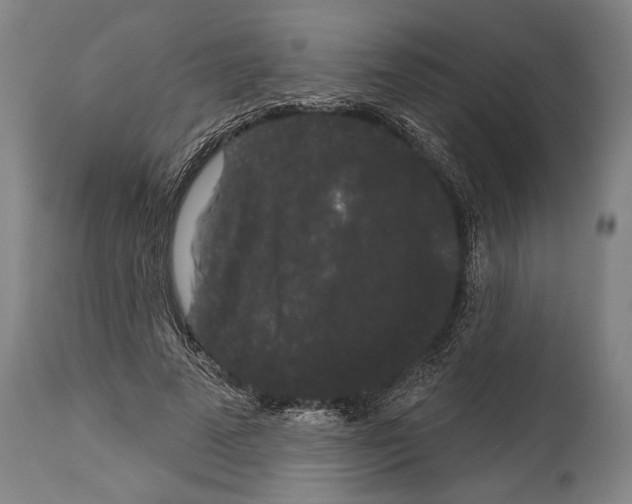 X0000113980689200911131056