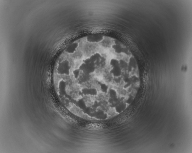 X0000113980691200911131056