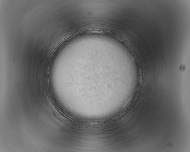 X0000113980692200911131056