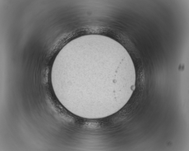 X0000113980694200911131055