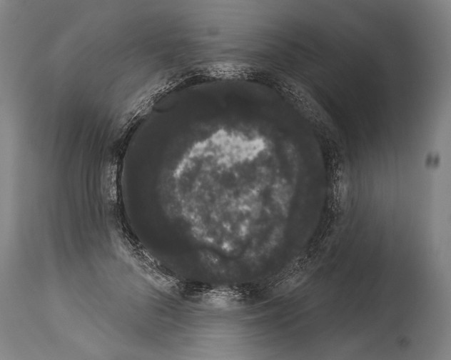 X0000113980696200911131055