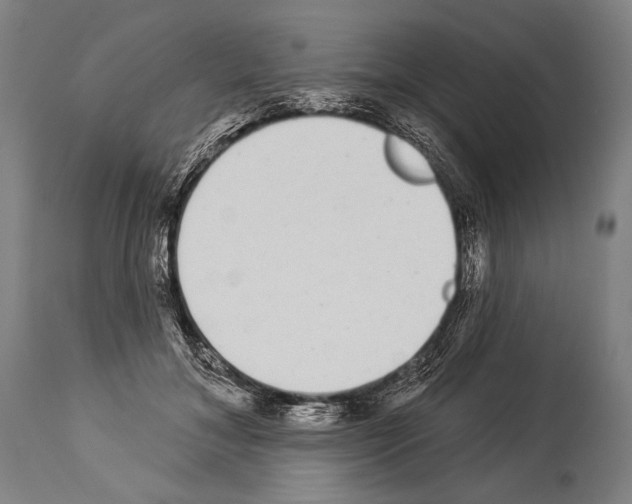 X0000113980700200911131055