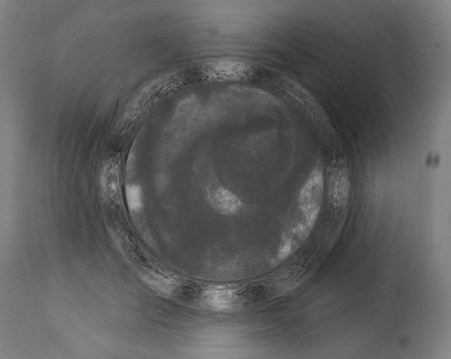 X0000113980701200911131055