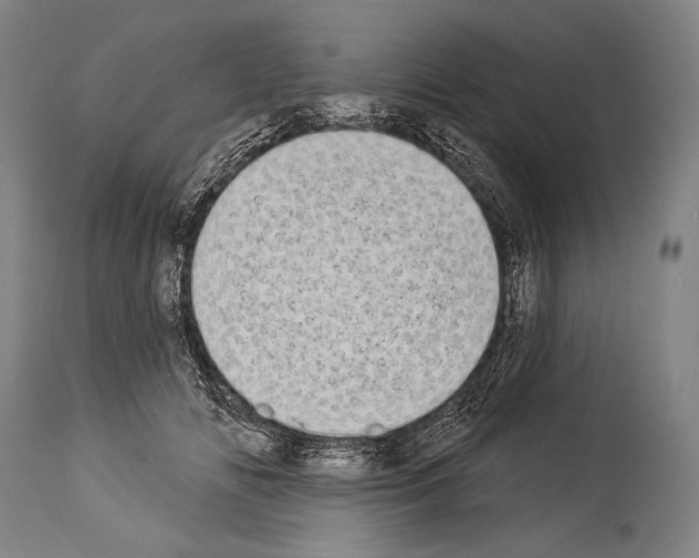 X0000113980702200911131055