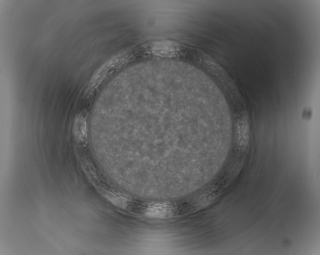 X0000113980705200911131055