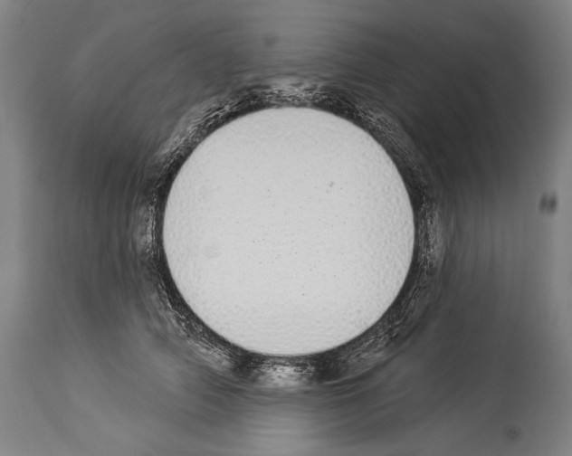 X0000113980706200911131055