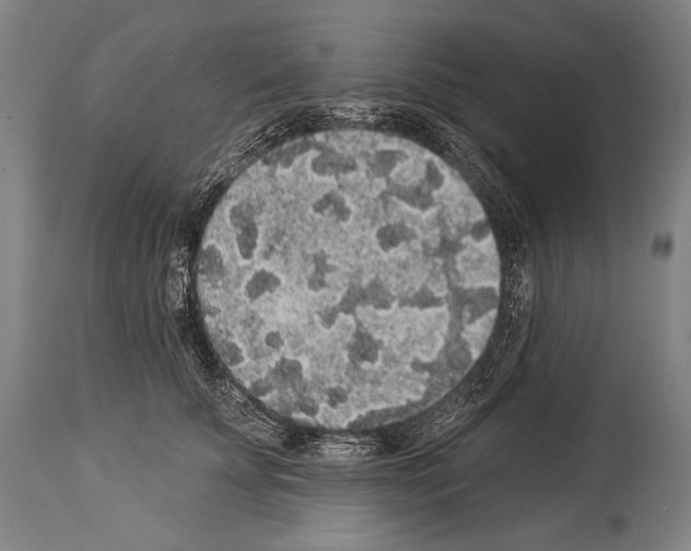 X0000113980707200911131055