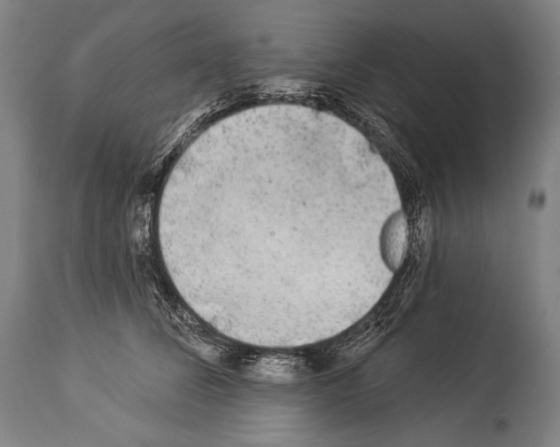 X0000113980708200911131055