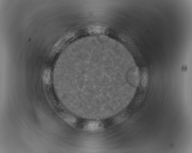 X0000113980709200911131055