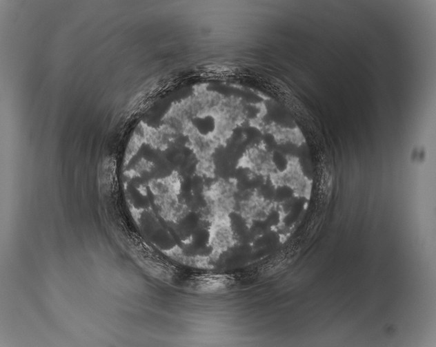 X0000113980711200911131055