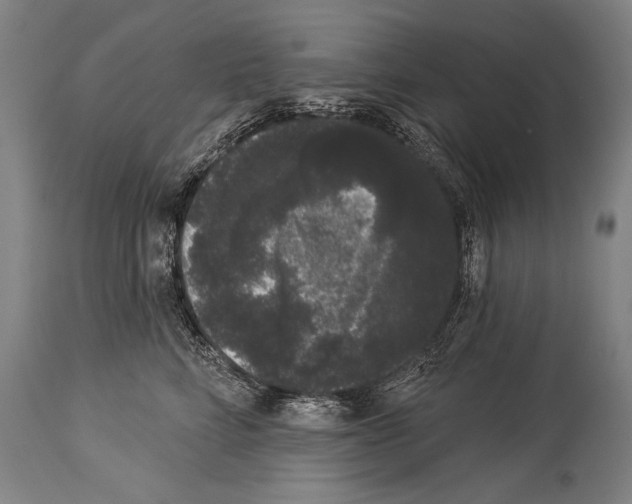 X0000113980712200911131055
