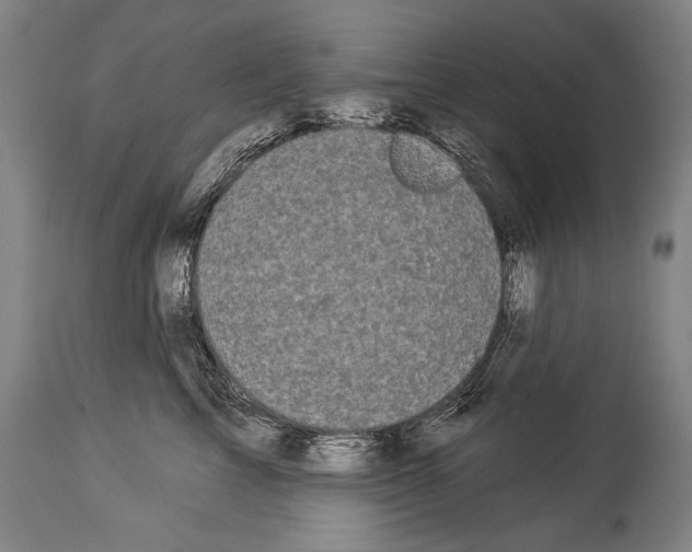 X0000113980713200911131055