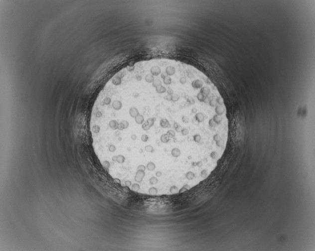 X0000113980714200911131055