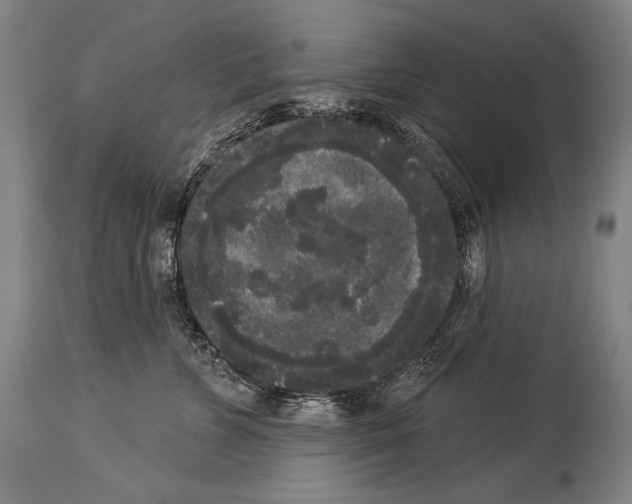 X0000113980715200911131055