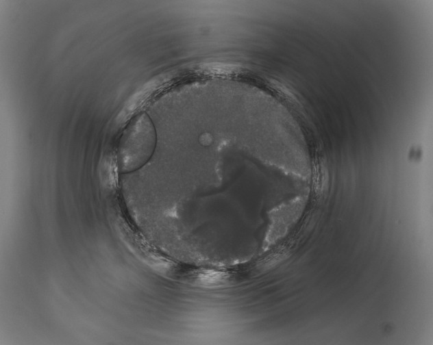 X0000113980718200911131055
