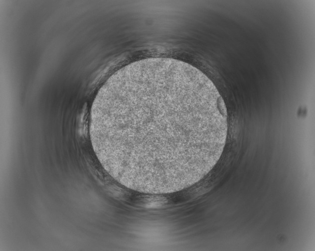 X0000113980719200911131055