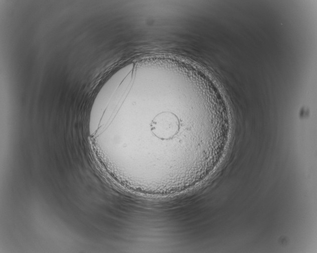 X0000113980720200911131055