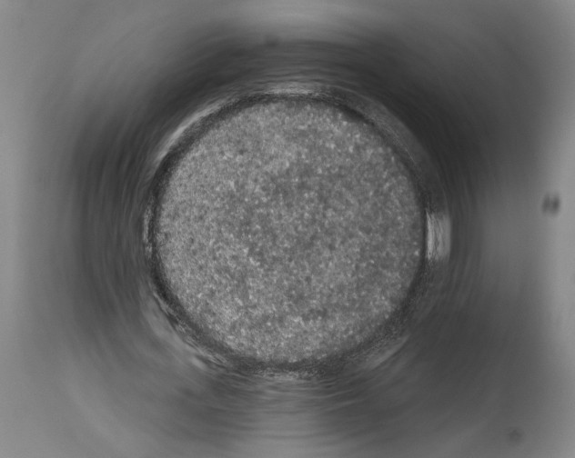 X0000113980723200911131054