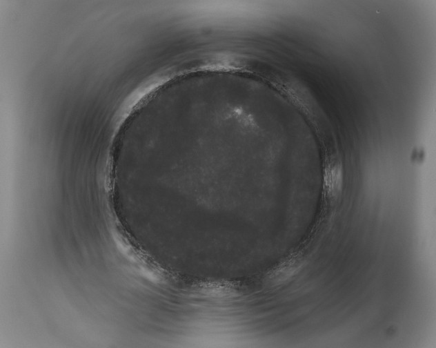 X0000113980724200911131054