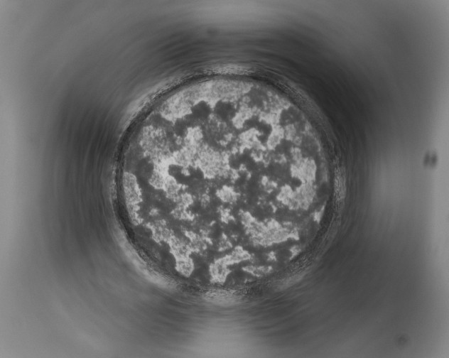 X0000113980725200911131054