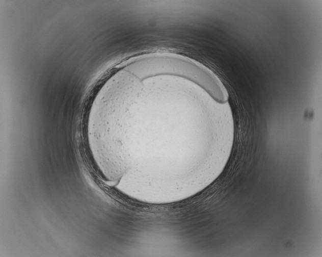 X0000113980726200911131054