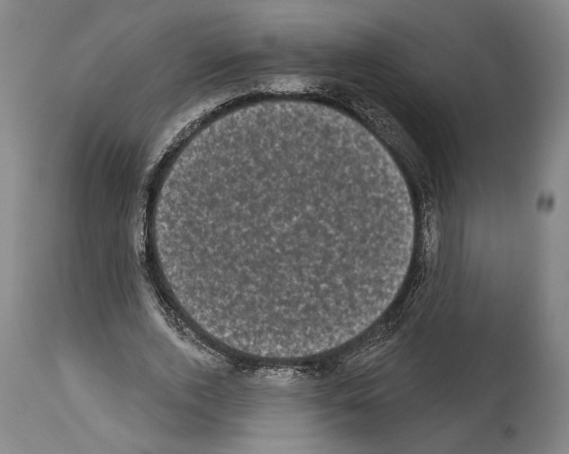 X0000113980728200911131054