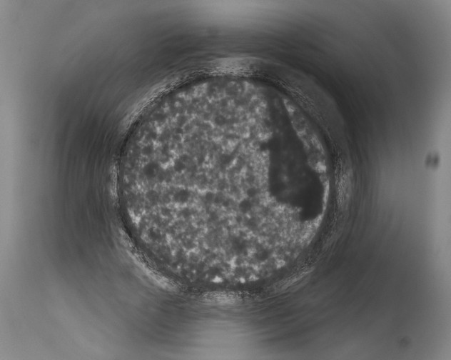 X0000113980729200911131054