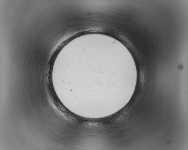 X0000113980730200911131054