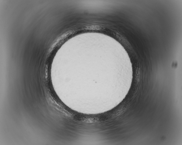 X0000113980731200911131054