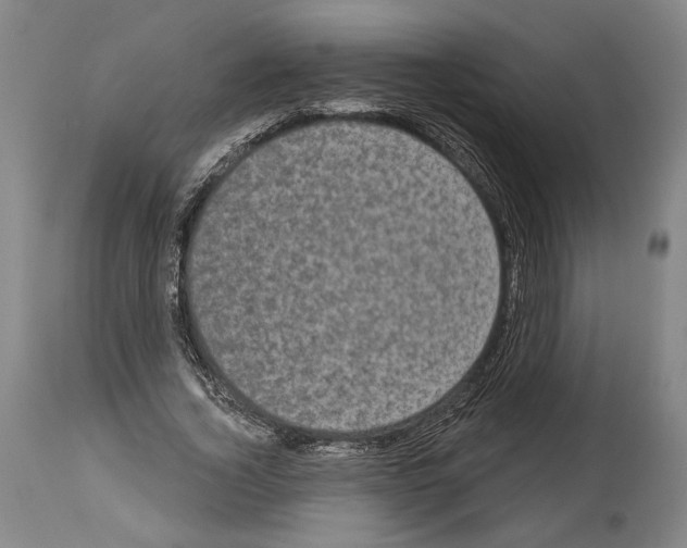X0000113980732200911131054