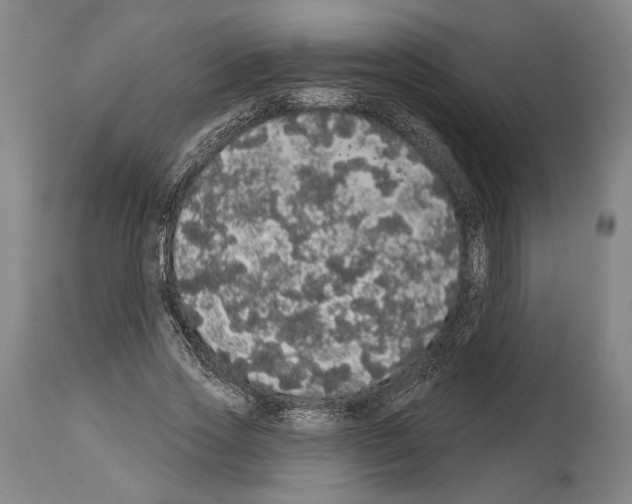 X0000113980733200911131054